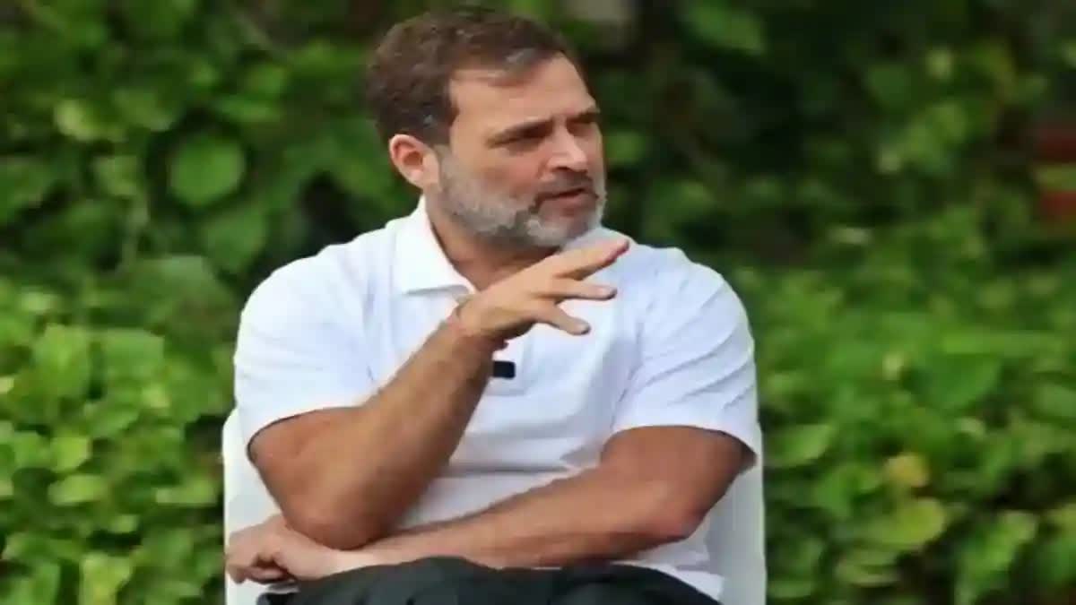 rahul gandhi heading to wayanad in the wake of mounting protests against wildlife attacks