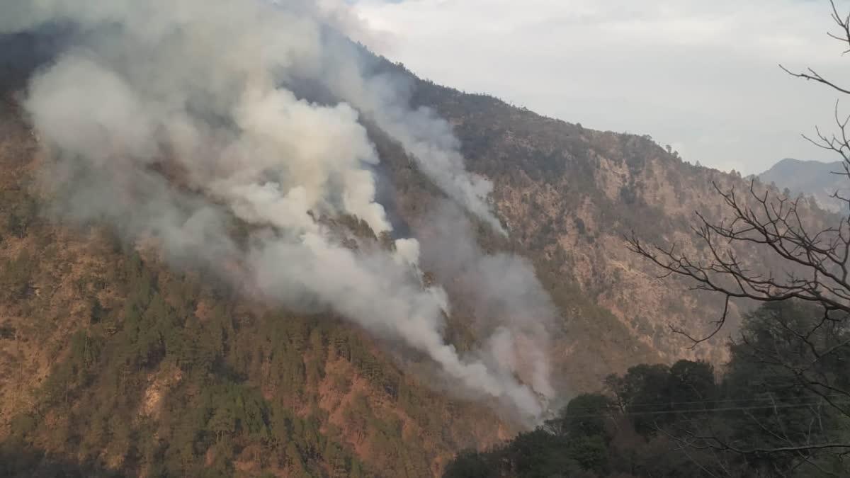 Fire in Forest of Kedarnath