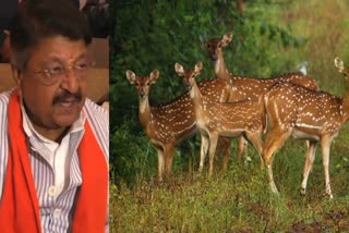 Kailash vijaywarigya on dumna nature reserve