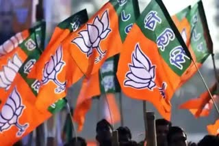 2024 lok sabha election  BJP National council  BJP  ബിജെപി ദേശീയ കൗണ്‍സില്‍  2024 ലോക്‌സഭ തെരഞ്ഞെടുപ്പ്