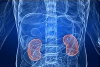 overuse of antibiotics leads to kidney problem