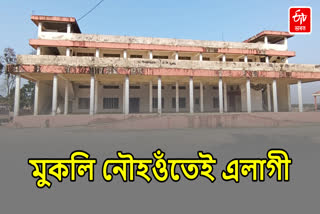 Dhemaji Development Authority