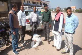 100 KG Adulterated Paneer