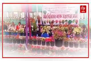 Foundation Day of Sunflower Nursery at Tingkhang