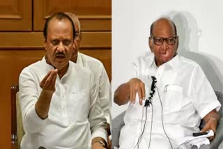 Sharad Pawar Criticizes Ajit Pawar