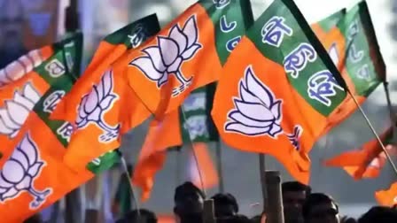 2024 lok sabha election  BJP National council  BJP  ബിജെപി ദേശീയ കൗണ്‍സില്‍  2024 ലോക്‌സഭ തെരഞ്ഞെടുപ്പ്