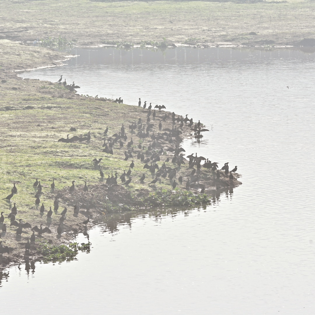 Demand for protection of Deepar Beel