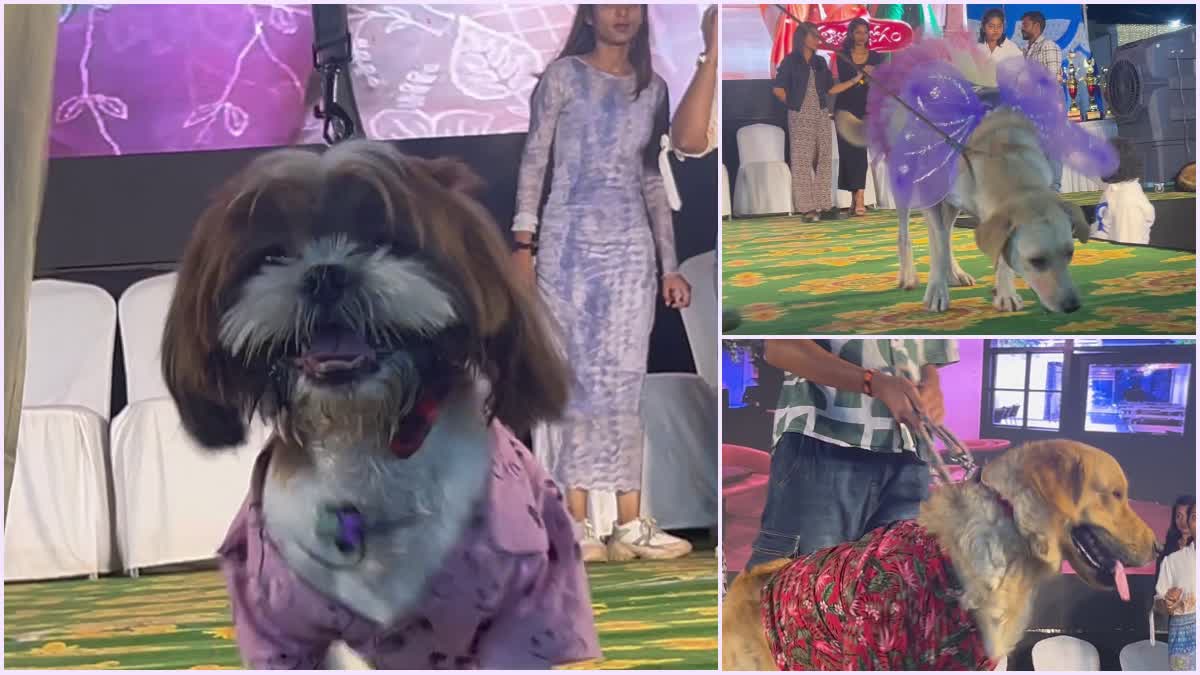 dog_show_in_rajahmundry