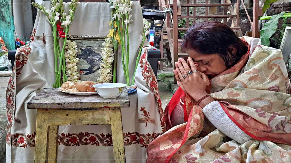 woman organises pet cat funeral in West Bengal jalpaiguri