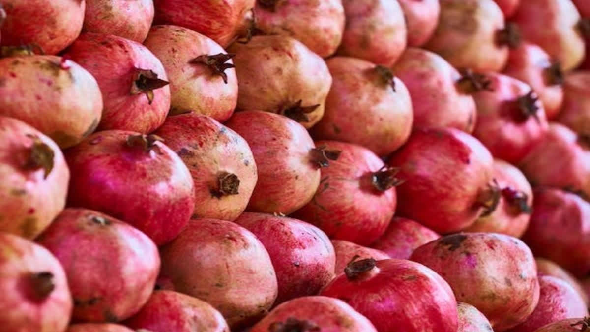 India Sends First Trial Shipments Of Pomegranate To Australia Via Sea Route