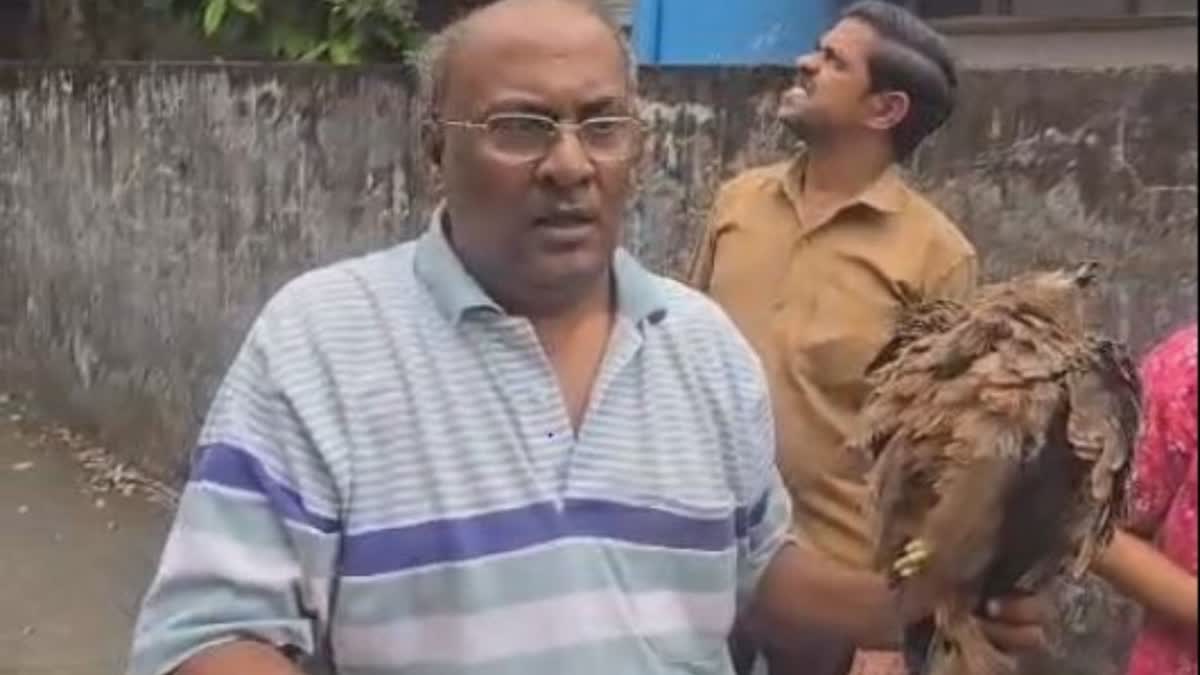 Bird Rescuer Mukesh Jain