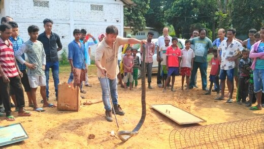 Assam Man's Tryst With Wildlife Begins With A Dream, Rescues Over 4000 Creatures, Reptiles