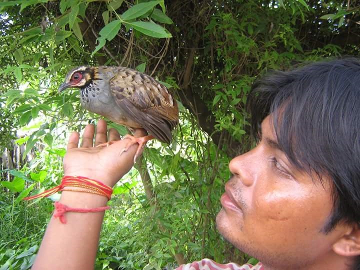 Assam Man's Tryst With Wildlife Begins With A Dream, Rescues Over 4000 Creatures, Reptiles