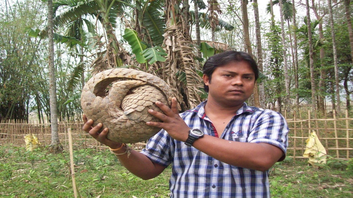 WILDLIFE BEGINS WITH A DREAM  ECOSYSTEM BALANCE IN WILDS  BINOD DULU BORAH NAGAON  HATI BANDHU CULTIVATES PADDY