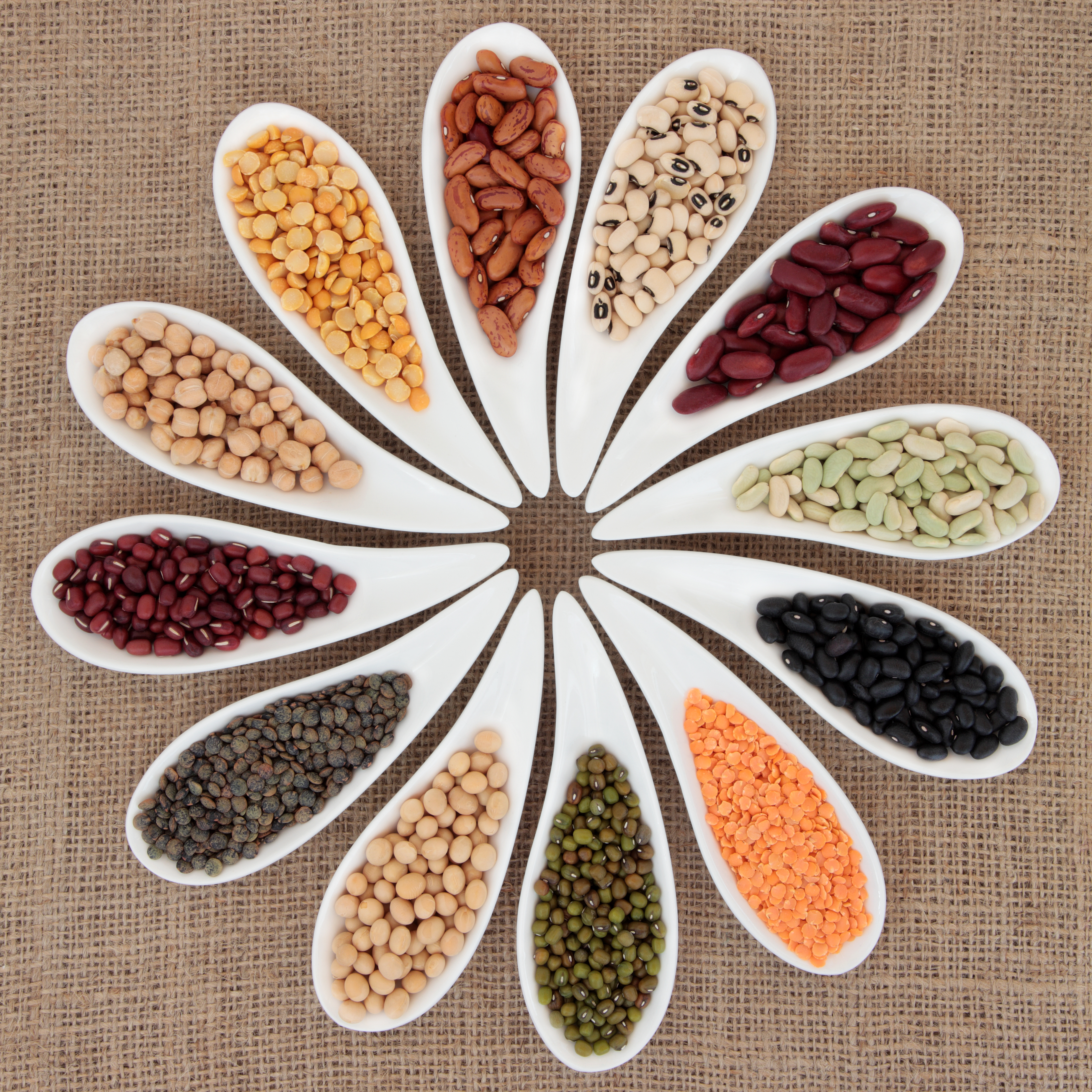 Does Pulses Cause Gas Acidity