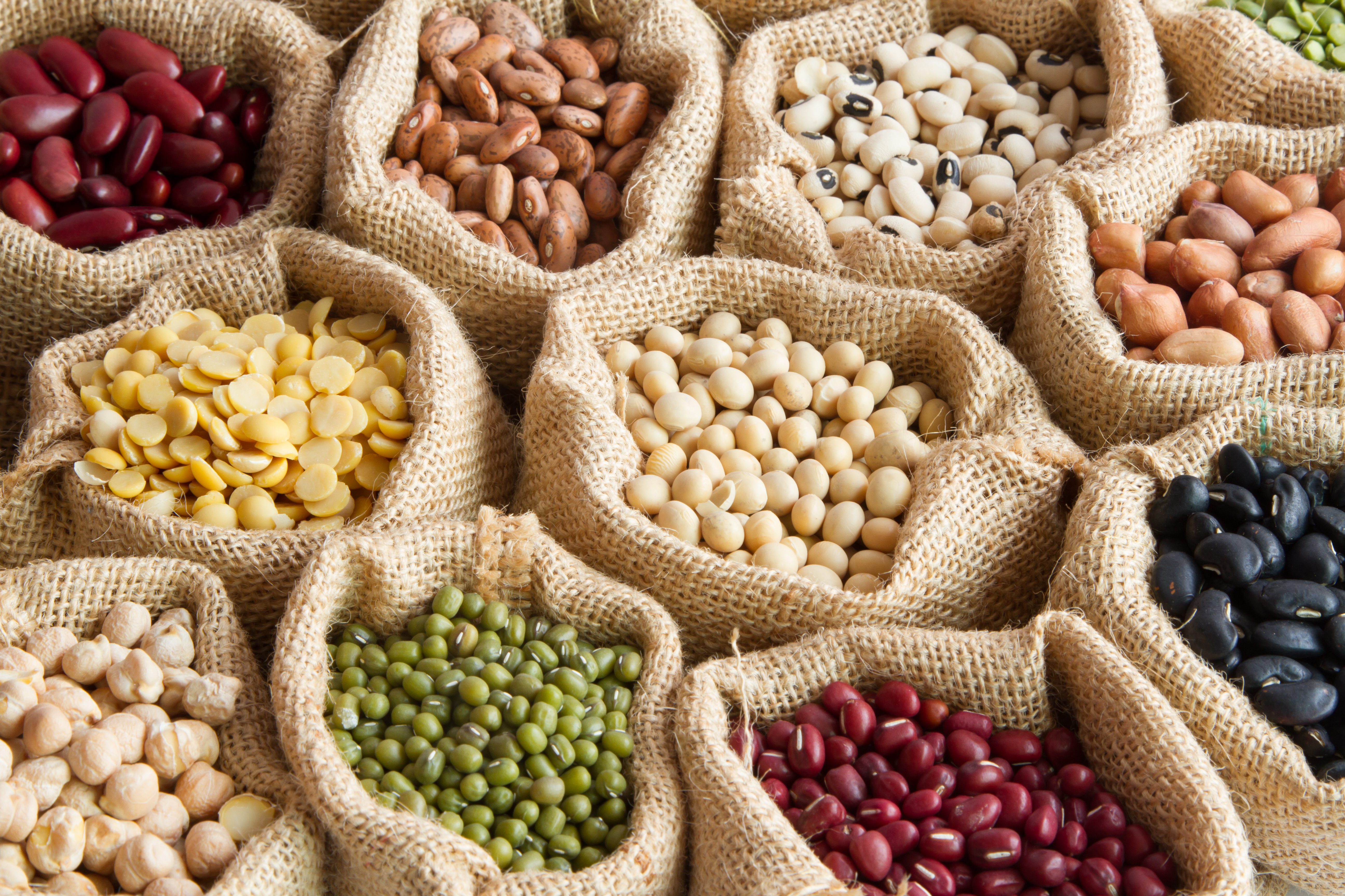 Does Pulses Cause Gas Acidity