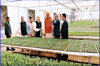 Horticulture fair in Bhiwani