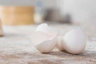 EGGSHELL REMEDIES FOR HAIR GROWTH  EGG SHELL POWDER USES FOR HAIR  BENEFITS OF EGGSHELL FOR HAIR  HOW TO USE EGG SHELLS FOR HAIR