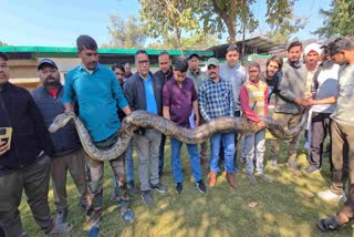 LONGEST PYTHON CAUGHT IN RAMNAGAR