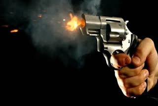 A 15-year-old boy fired a loaded gun at a poultry farm in Mandya, killing a four-year-old and injuring his mother.