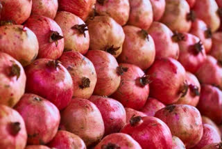 India Sends First Trial Shipments Of Pomegranate To Australia Via Sea Route