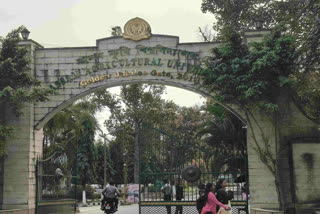 Assam Agriculture University