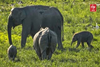 Sikhna Jwhwlao National Park