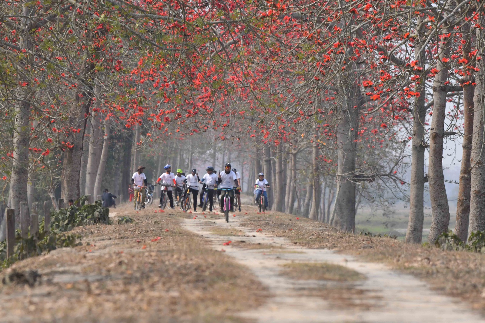 Laokhowa Burachapori Wildlife Sanctuary