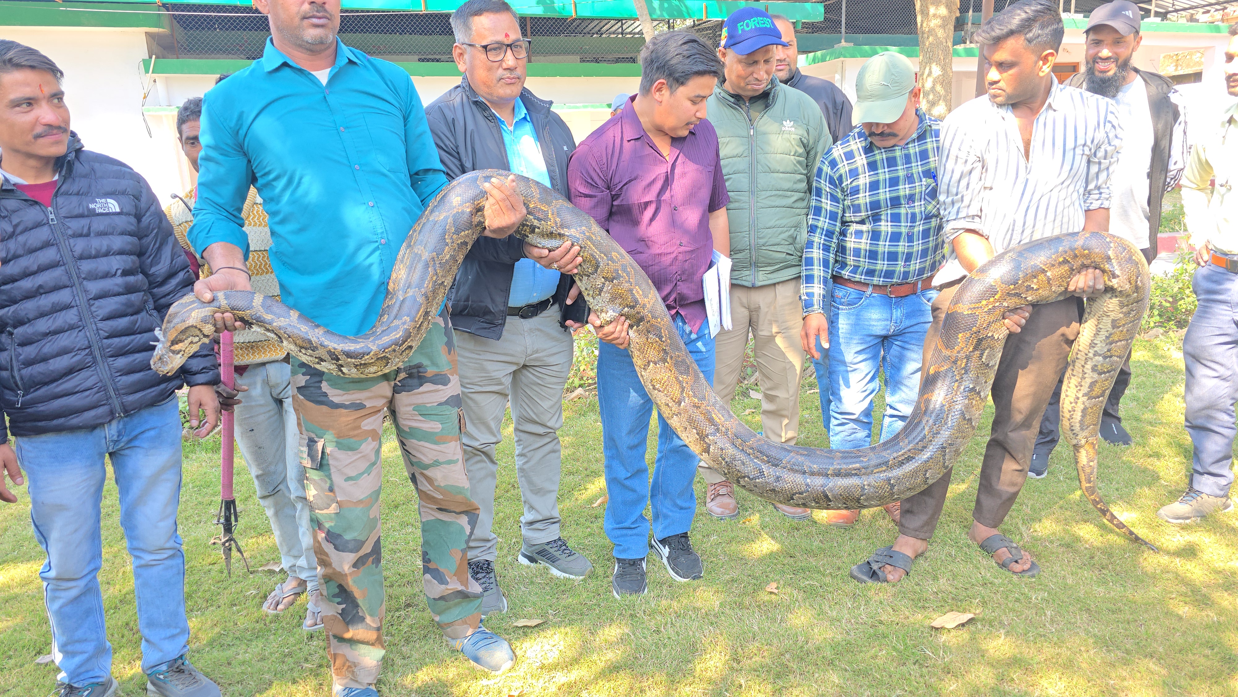 LONGEST PYTHON CAUGHT IN RAMNAGAR