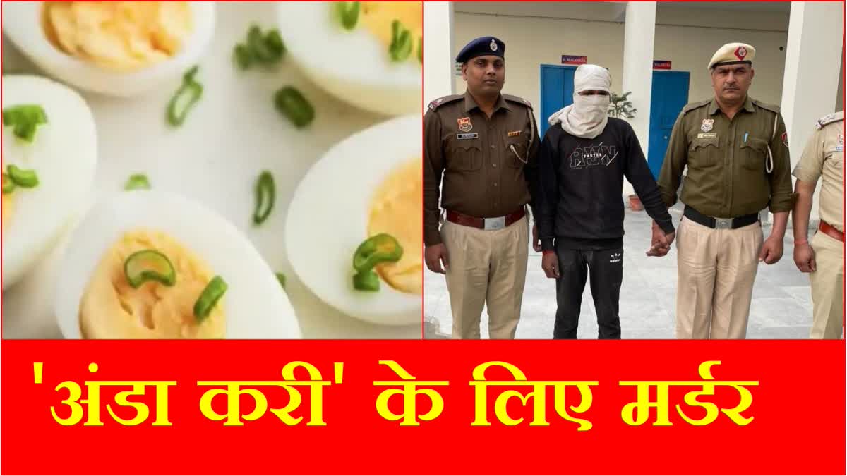 Murder of Live in Partner for Egg Curry in Gurugram Haryana Police Arrested Accused investigating Case