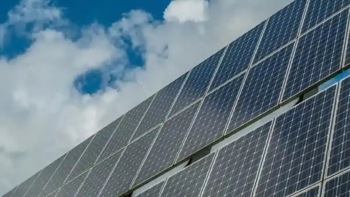 Renewable Energy Sector