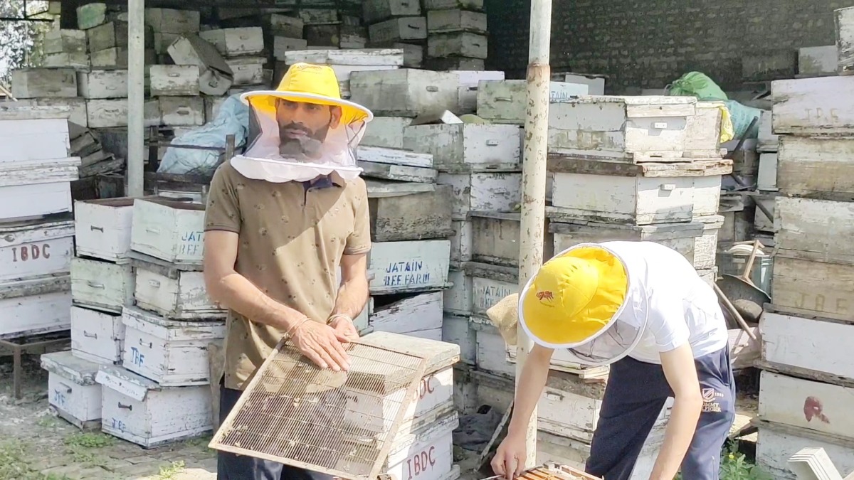 Beekeeping in Haryana