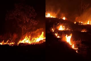 fire in Ponparakunnu  Dry grass caught fire  Ponparakunnu Kozhikode  Fire