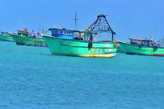 Sri Lankan Navy  21 Tamil Nadu Fishermen Jailed  Sri Lankan Navy seized boats  boats seized in Sri Lanka