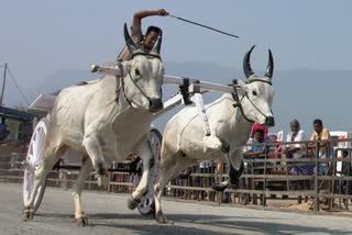 Etv Bharat