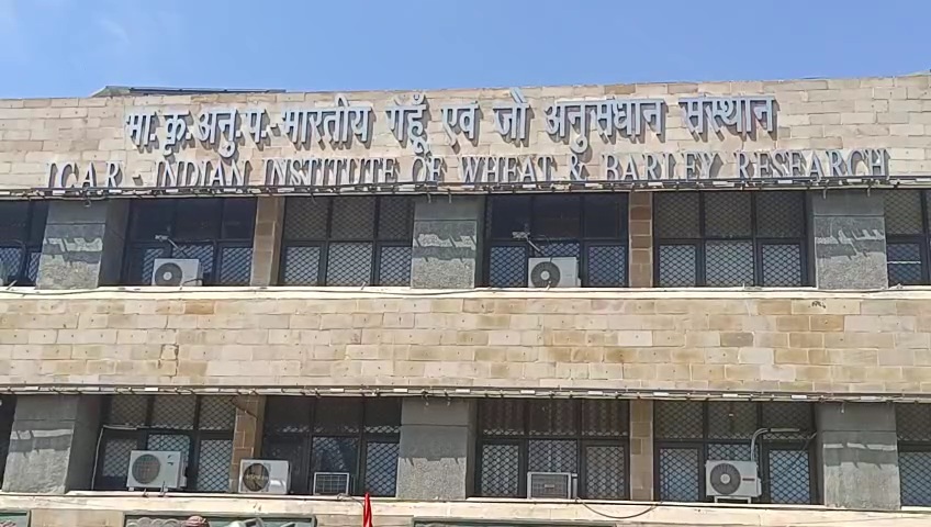 Indian Wheat and Barley Research Institute Karnal