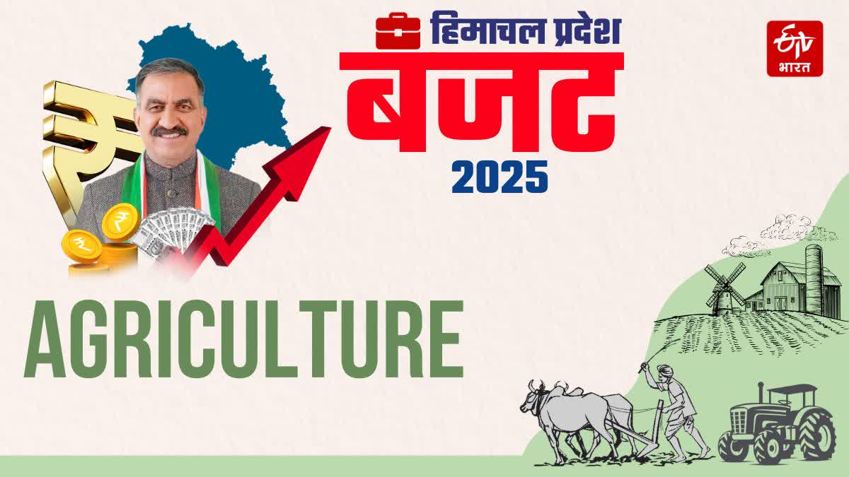हिमाचल बजट में किसानों और बागवानों के लिए घोषणाएं