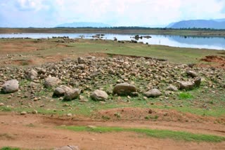 தெலுங்கனூரில் அகழாய்வு மேற்கொள்ளப்பட இருக்கும் இடம்