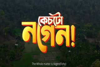 Case tu Nagen