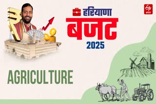 Haryana Agriculture Budget 2025