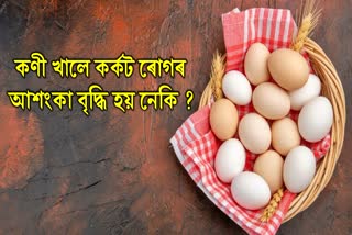 Do Eggs Really Increase Cancer Risk? Let's Crack Open the Truth