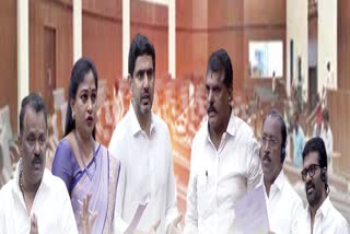 AP Legislative Council Session 2025