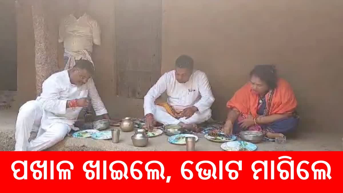 ଗାଁରେ ପଖାଳ ଖାଇ ଆଶୀର୍ବାଦ ନେଲେ ସାଂସଦ ପ୍ରାର୍ଥୀ