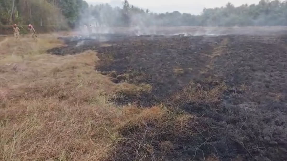 FIRE IN FARMLAND  കോട്ട നടവയല്‍  തീപിടിത്തം  ബാലുശ്ശേരിയില്‍ തീപിടിത്തം