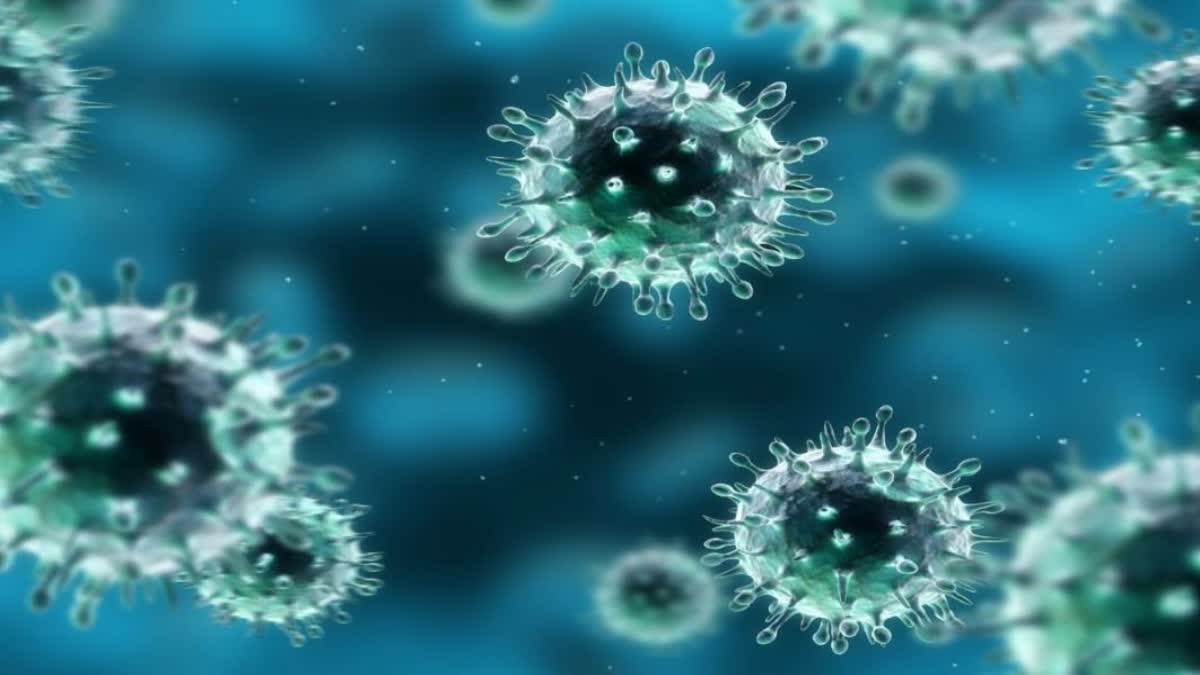 One Woman Died Due To Swine Flu In Nashik District