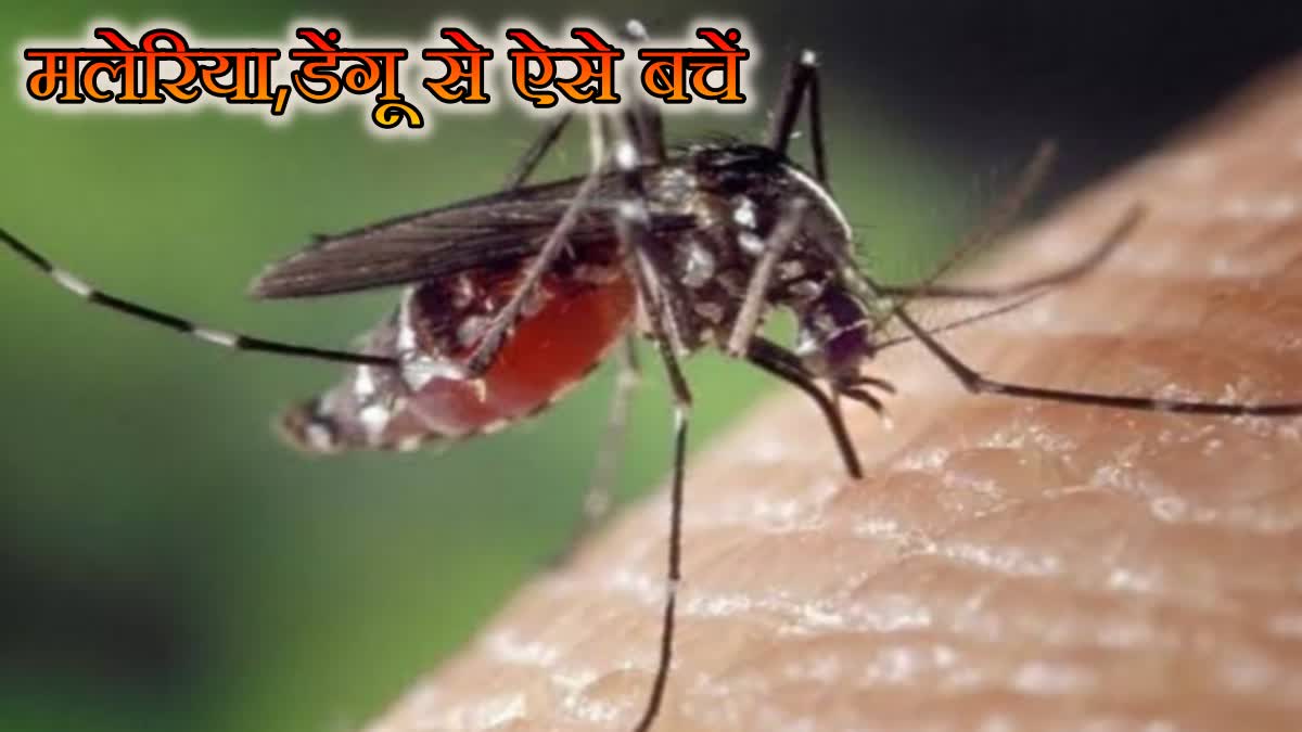 PREVENTION METHODS MALARIA DENGUE