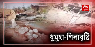 Heavy storm in Hojai caused extensive damage