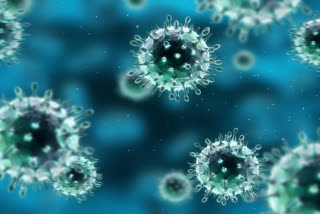 63-Year-Old Woman Dies of Swine Flu in Nashik, Third Cases in past 10 Days