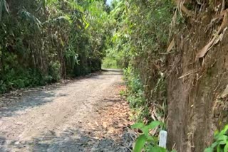 HISTORIC ROUTE  INFRASTRUCTURE DEVELOPMENT  ALUVA TO MUNNAR CONNECTIVITY  FASTER TRAVEL FROM ALUVA TO MUNNAR