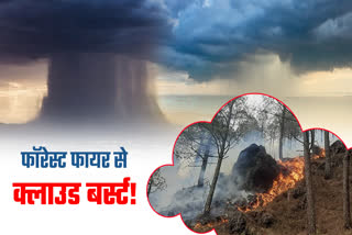 FOREST FIRE AND CLOUD BURST